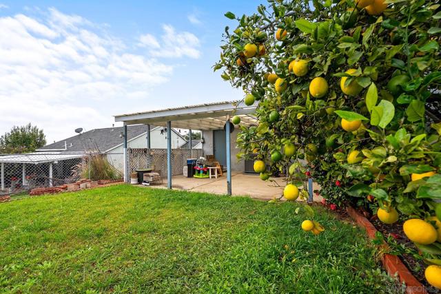 MLS #250046159SD image #33