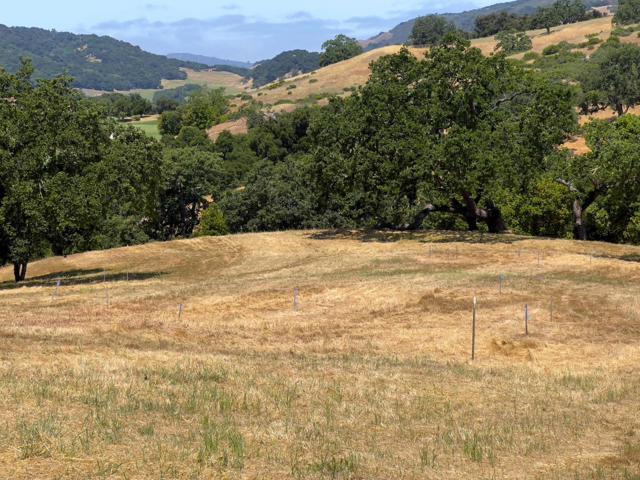 23 E Pronghorn Run, Carmel CA: https://media.crmls.org/mediaz/f5df8f1a-3f54-496f-8dcd-f2700074e319.jpg