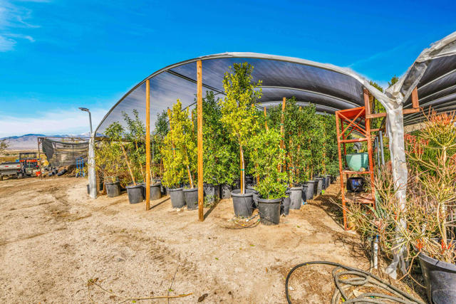 16961 Evans Lane Lane, Desert Hot Springs CA: https://media.crmls.org/mediaz/f5f2534c-1dc8-4def-a94c-8f44178dc410.jpg