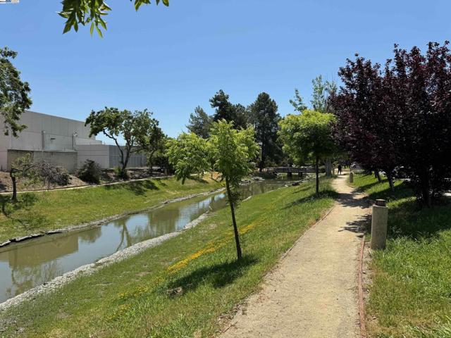 46560 Fremont Blvd, Unit 118, Fremont, California 94538, ,Commercial Sale,For Sale,Fremont Blvd, Unit 118,41060615