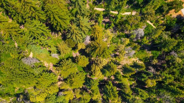 3 Bloom Grade, Boulder Creek CA: https://media.crmls.org/mediaz/f603b11d-6413-432d-b653-63899c31f012.jpg