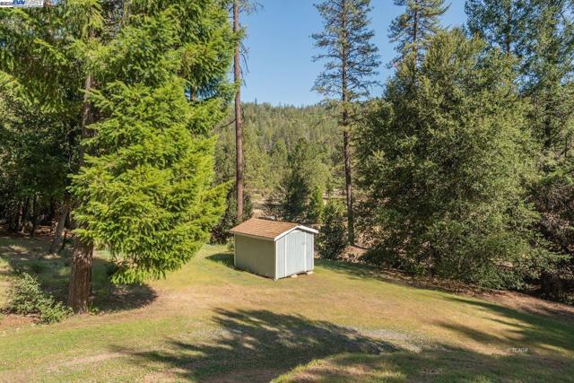 430 Bridge Rd, Douglas City CA: https://media.crmls.org/mediaz/f6064ba9-d0f0-4fdd-9a29-40785da97506.jpg