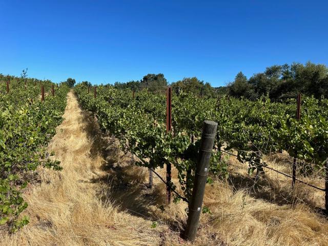 13160 Cienega Road, Hollister CA: https://media.crmls.org/mediaz/f60eb320-8b9f-44bf-a6cf-ca0cf541e663.jpg