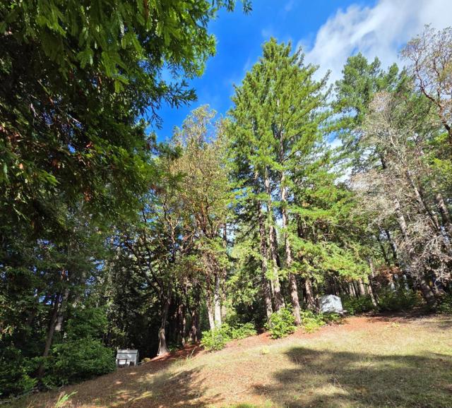 1140 Warren Drive, Santa Cruz CA: https://media.crmls.org/mediaz/f6118c64-42ce-4d9c-8e51-60f9abafbf85.jpg