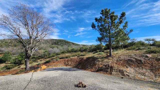 Detail Gallery Image 3 of 8 For 5566 Acorn Patch Rd., Julian,  CA 92036 - – Beds | – Baths