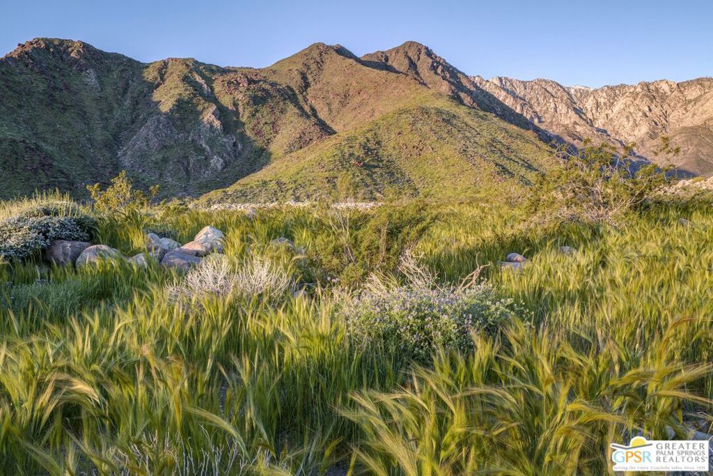 MLS #25579025PS image #12