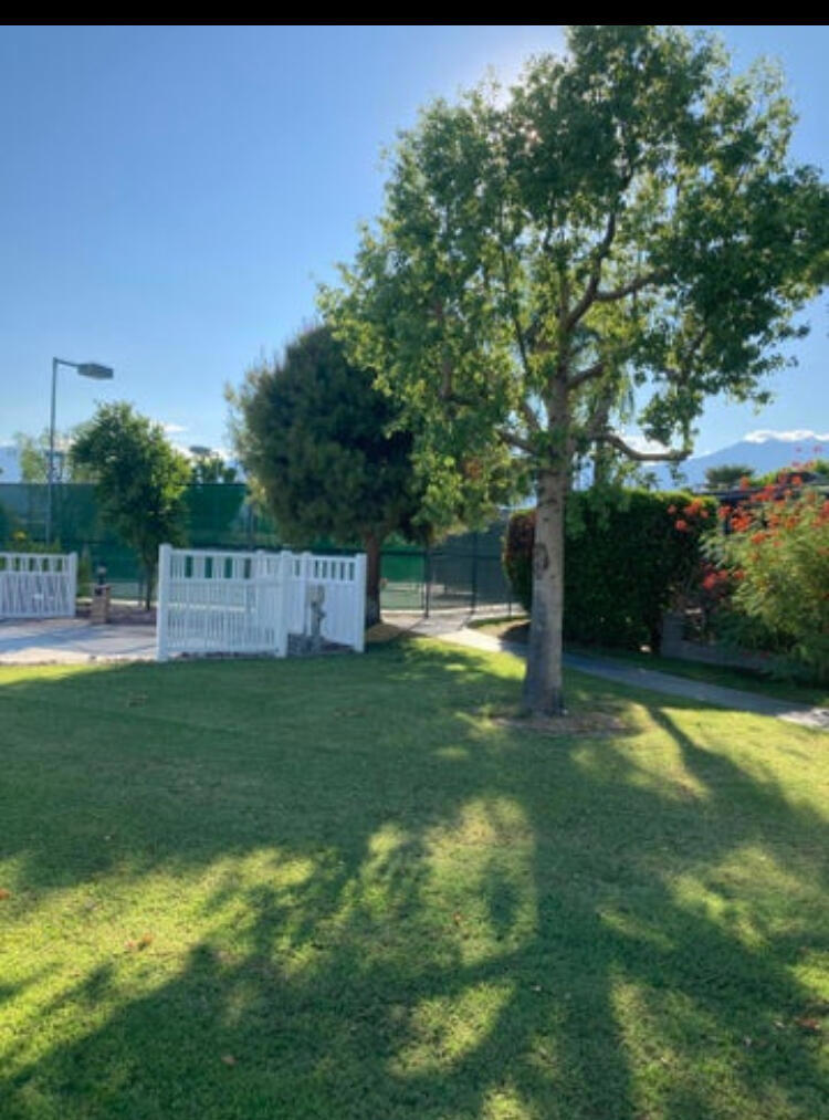 MLS #219135740DA image #5