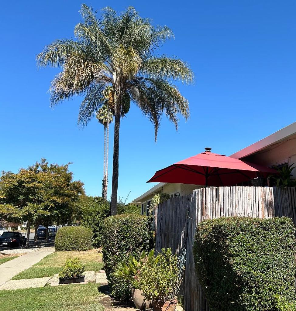 MLS #ML81981021 image #5