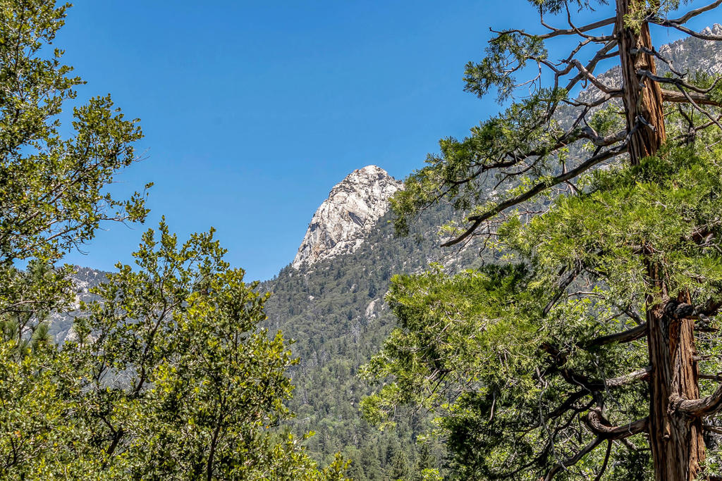 https://media.crmls.org/mediaz/f6304a1e-a35d-44c7-bd39-3fed5081248e.jpg?preset=X-Large