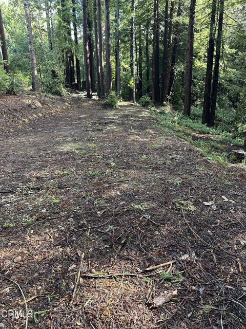 Detail Gallery Image 7 of 7 For 17500 Redwood Springs Dr, Fort Bragg,  CA 95437 - – Beds | – Baths