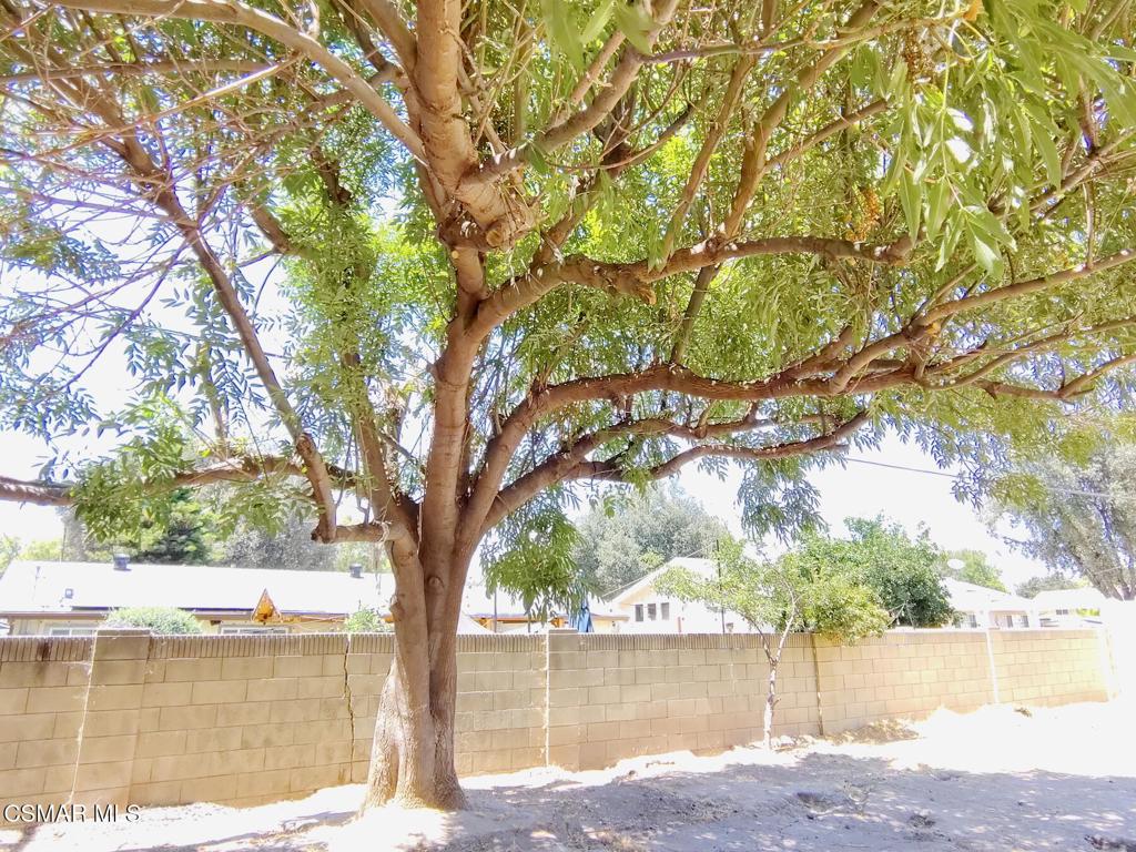 MLS #225004182 img 22