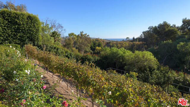 Drew Fenton | 6110 Merritt Drive Malibu CA | MLS: 7381481