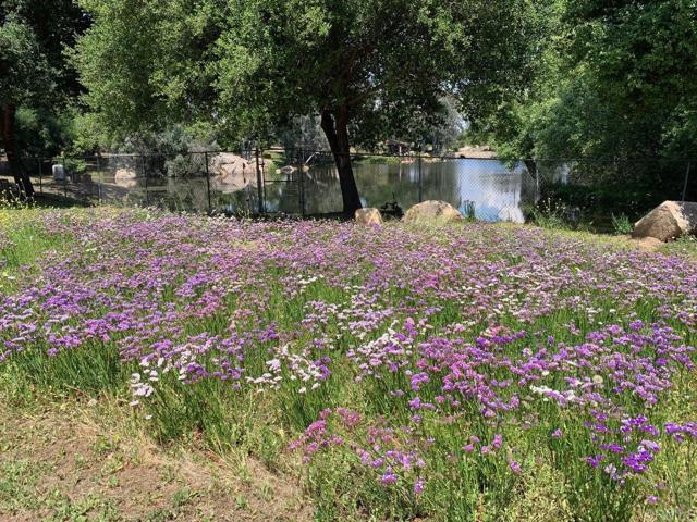 16635 Highland Valley Rd, Ramona CA: https://media.crmls.org/mediaz/f6527c17-4408-4199-8070-15559fcbf64d.jpg