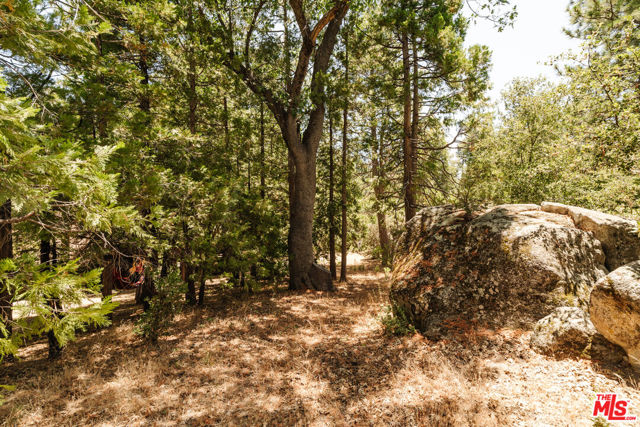 Image 38 of 57 For 26955 Meadow Glen Drive
