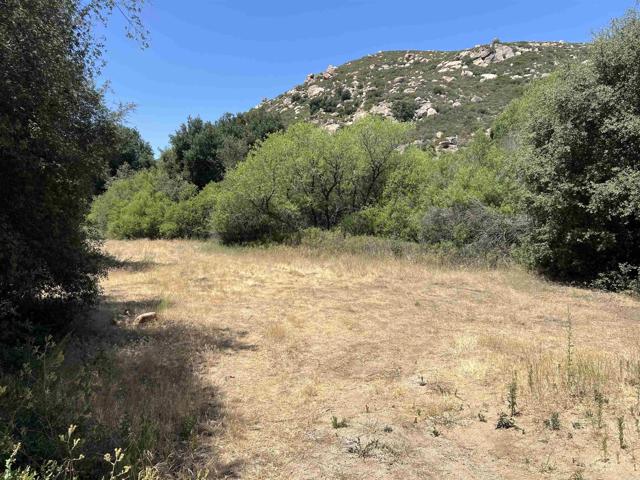 Detail Gallery Image 7 of 17 For Riverside Dr, Descanso,  CA 91916 - – Beds | – Baths