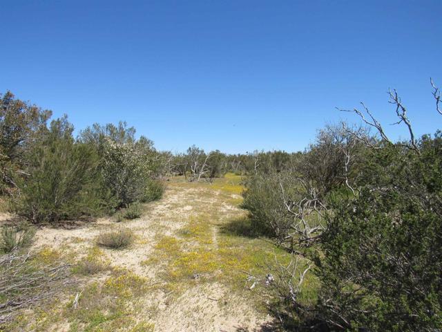 Image 16 of 29 For 80 Vista Del Cielo Road