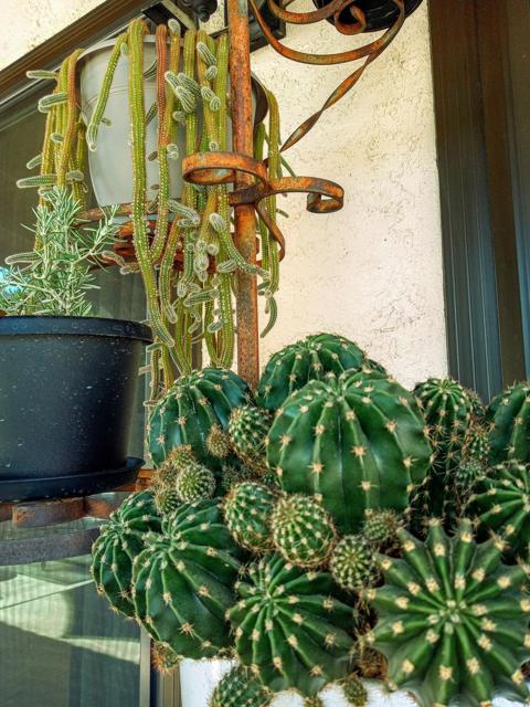 2200 E Acacia, Palm Springs CA: https://media.crmls.org/mediaz/f660f053-aa2c-4f2c-aa26-7e78561a7aeb.jpg