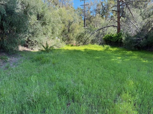 0 El Grande Drive, San Jose CA: https://media.crmls.org/mediaz/f67fee4c-602a-4681-b3ce-42cd70f5cd8b.jpg
