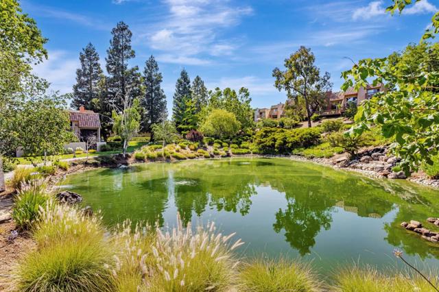 142 Calle Larga, Los Gatos CA: https://media.crmls.org/mediaz/f683ef29-a62f-46f7-baa7-e51a244df383.jpg