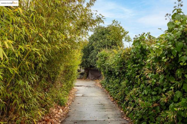 2331 San Pablo Ave, Berkeley CA: https://media.crmls.org/mediaz/f685268a-785c-42e1-9c4f-6cc120cc2afd.jpg