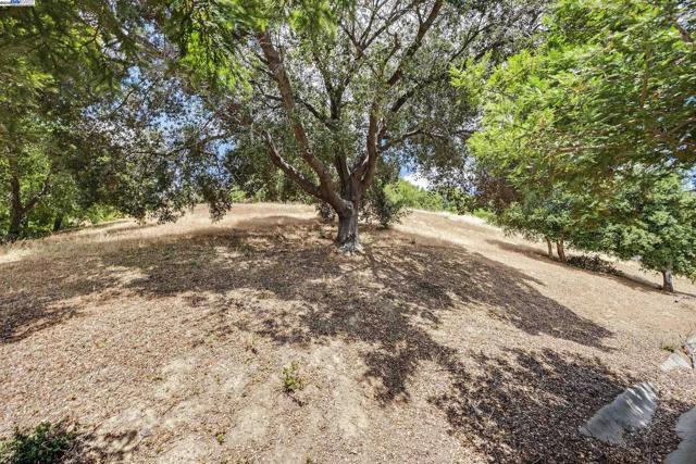 2227 Foxhill Drive, Martinez CA: https://media.crmls.org/mediaz/f68cf7bd-b724-42e3-9607-a7a8386364f0.jpg