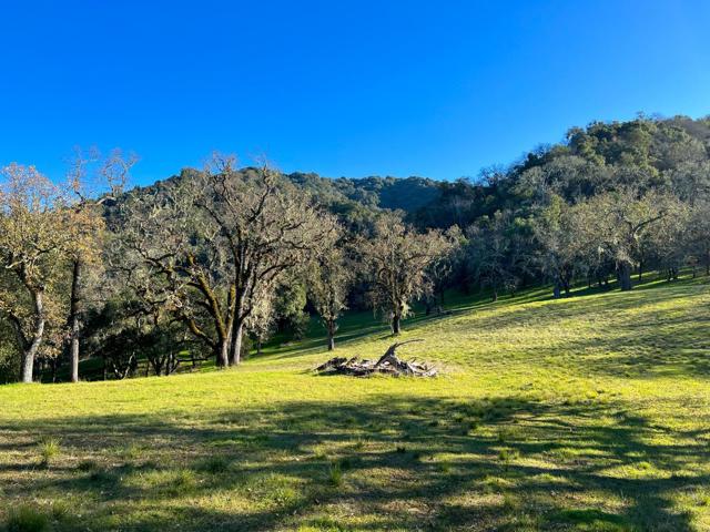 22 Arroyo Sequoia, Carmel CA: https://media.crmls.org/mediaz/f699890b-f4a8-46c6-83bb-470d8959b873.jpg