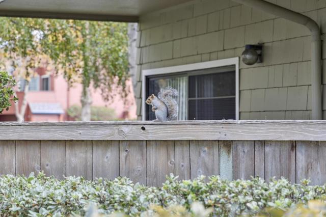 1016 Shoreline Drive, San Mateo CA: https://media.crmls.org/mediaz/f69a08d7-6043-46de-b744-c8245d32399b.jpg