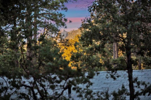 26785 Crestview Drive, Idyllwild CA: https://media.crmls.org/mediaz/f69b7614-2880-46d7-871f-f33eeb39375a.jpg