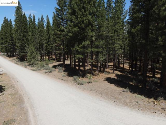45 Claireville RD, Portola CA: https://media.crmls.org/mediaz/f6a4616b-6cfb-432b-bcf2-6c77c2e5dd6c.jpg