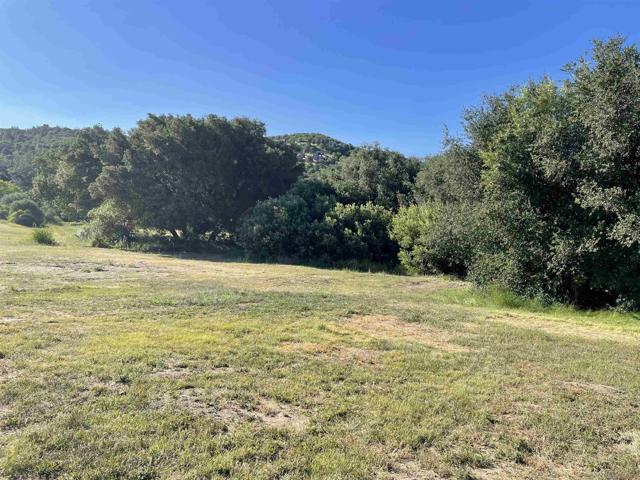 5750 Forest Meadows, Julian CA: https://media.crmls.org/mediaz/f6a51f12-a786-48ec-bbf8-30c127a25fb6.jpg