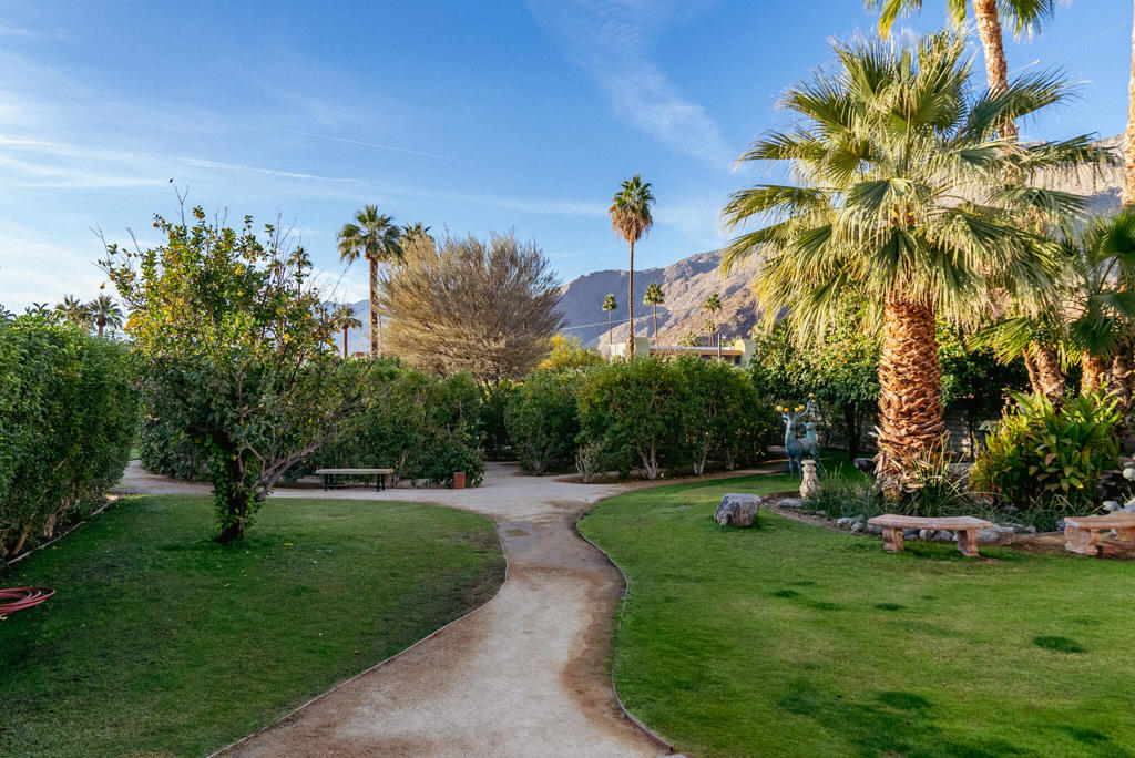 MLS #219133565PS image #11