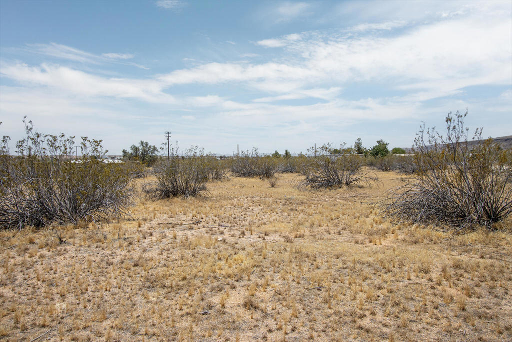 MLS #219132429PS image #4