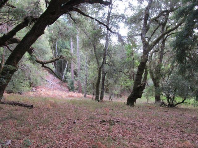 0 E Hilton, Boulder Creek CA: https://media.crmls.org/mediaz/f6e043eb-e5fd-4a04-99b9-56dd324b8fff.jpg