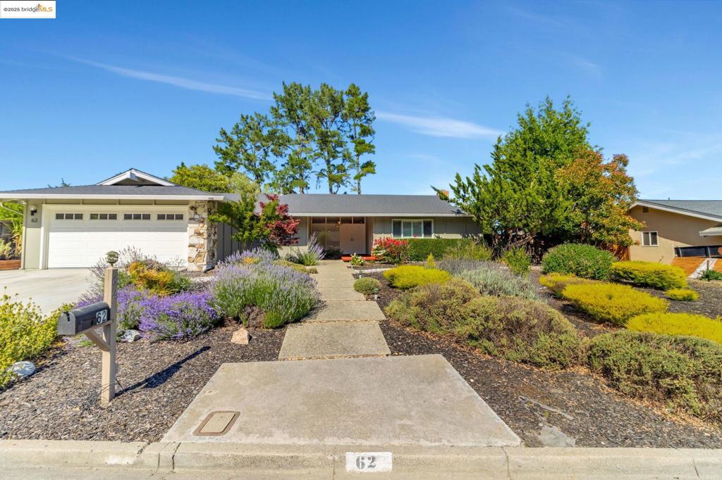 62 Warfield Dr