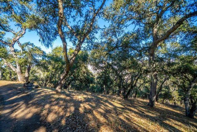 17114 Cachagua Road, Carmel Valley CA: https://media.crmls.org/mediaz/f6ead074-ea50-4846-8121-0848825dbf6c.jpg