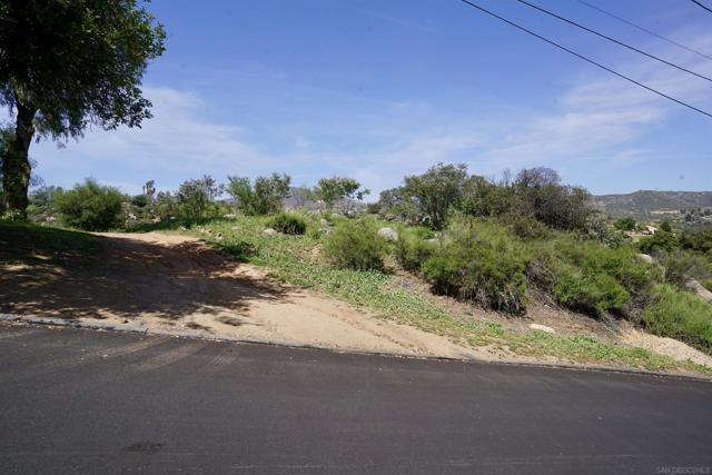 0 Via Viejas Oeste, Alpine CA: https://media.crmls.org/mediaz/f6efc67b-f0e0-4511-8c7a-102b3a1f8cc8.jpg