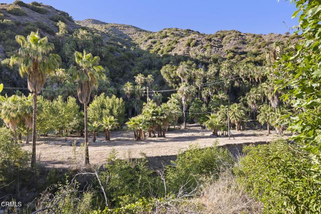 16825 Maricopa Highway, Ojai CA: https://media.crmls.org/mediaz/f6f24002-89fa-4709-881b-4ebf2f91bf28.jpg