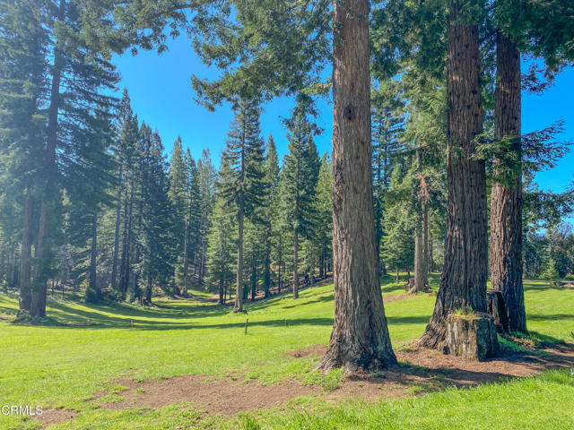 Detail Gallery Image 33 of 49 For 13740 Peregrine Rd, Boonville,  CA 95415 - – Beds | – Baths