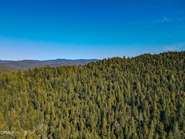 0 Irmulco Road, Willits CA: https://media.crmls.org/mediaz/f6f7475b-adae-483c-b952-51da2f6d102d.jpg
