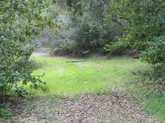 11 Little Uvas Road, Morgan Hill CA: https://media.crmls.org/mediaz/f70893d8-5cbd-4232-a955-3e1069ecdb5e.jpg