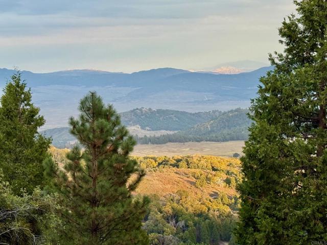 Detail Gallery Image 4 of 47 For 32771 Birch Hill Rd, Palomar Mountain,  CA 92060 - 2 Beds | 2 Baths