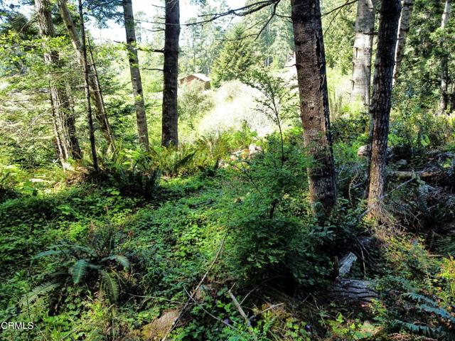 Detail Gallery Image 19 of 23 For 44551 Raven Ln, Mendocino,  CA 95460 - – Beds | – Baths