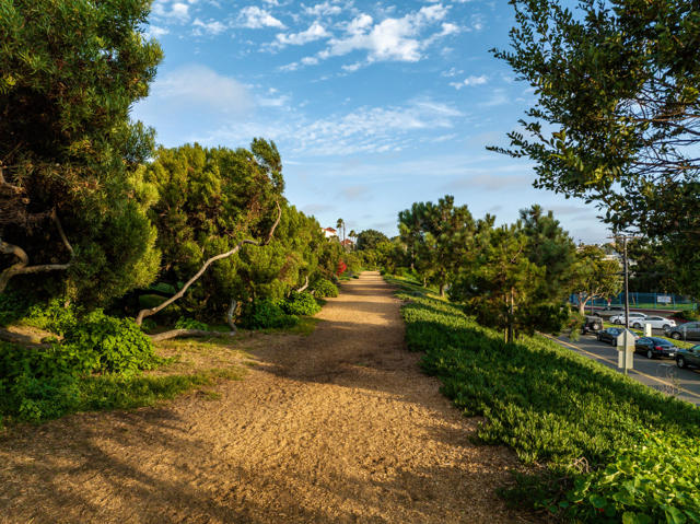 Nearby walking path