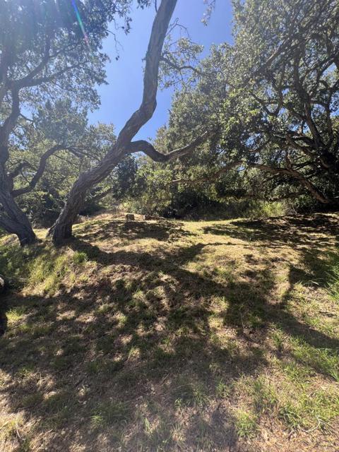 17160 Wilson Way, Royal Oaks CA: https://media.crmls.org/mediaz/f72a87fc-8e18-443e-bb7e-5590ffa94eaa.jpg