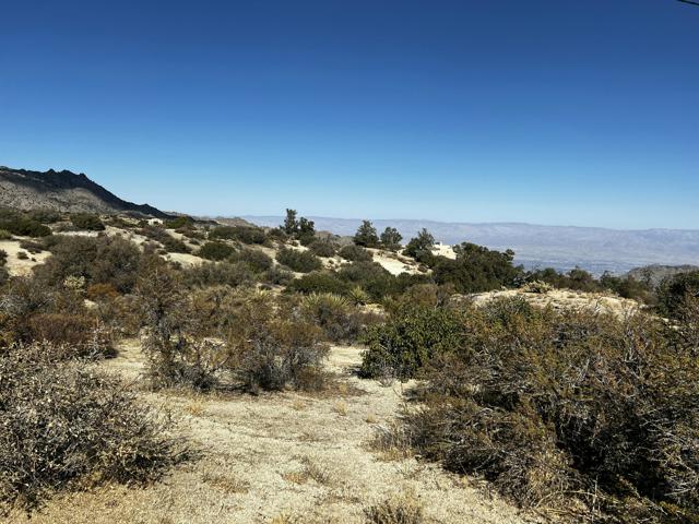 Details for 0 Scenic Drive, Mountain Center, CA 92561