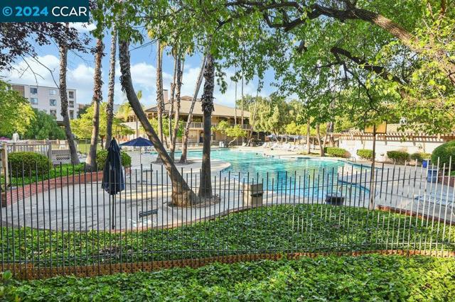 490 N Civic Drive, Walnut Creek CA: https://media.crmls.org/mediaz/f74a88a3-422e-4b6c-864e-d8b2a22fff61.jpg