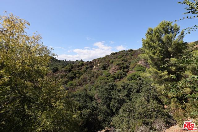 9595 Lime Orchard Road, Beverly Hills CA: https://media.crmls.org/mediaz/f750fa36-00f7-430f-bd46-460d1fc536d6.jpg