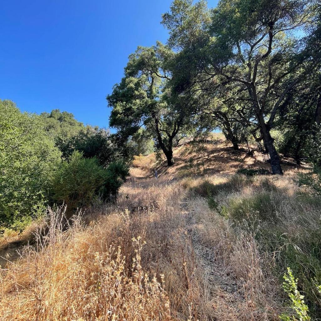 MLS #ML82009320 image #11