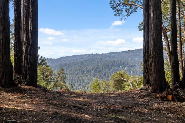 220 Hillary, Boulder Creek CA: https://media.crmls.org/mediaz/f76def65-3b22-478c-be26-0d93a0776d30.jpg