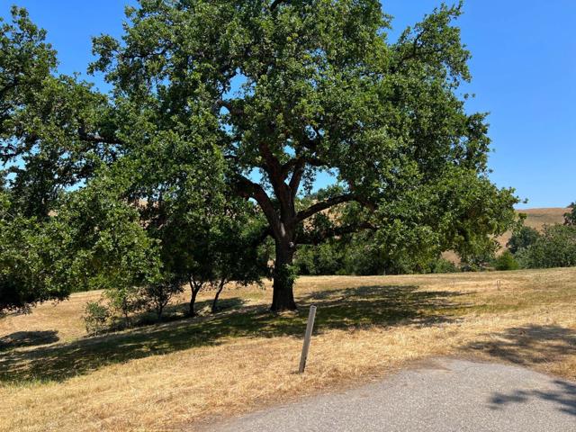 23 E Pronghorn Run, Carmel CA: https://media.crmls.org/mediaz/f7702f51-4517-413e-b58f-0ae01948012a.jpg